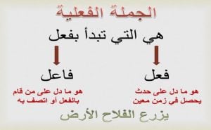 امثلة عن الجملة الفعلية
