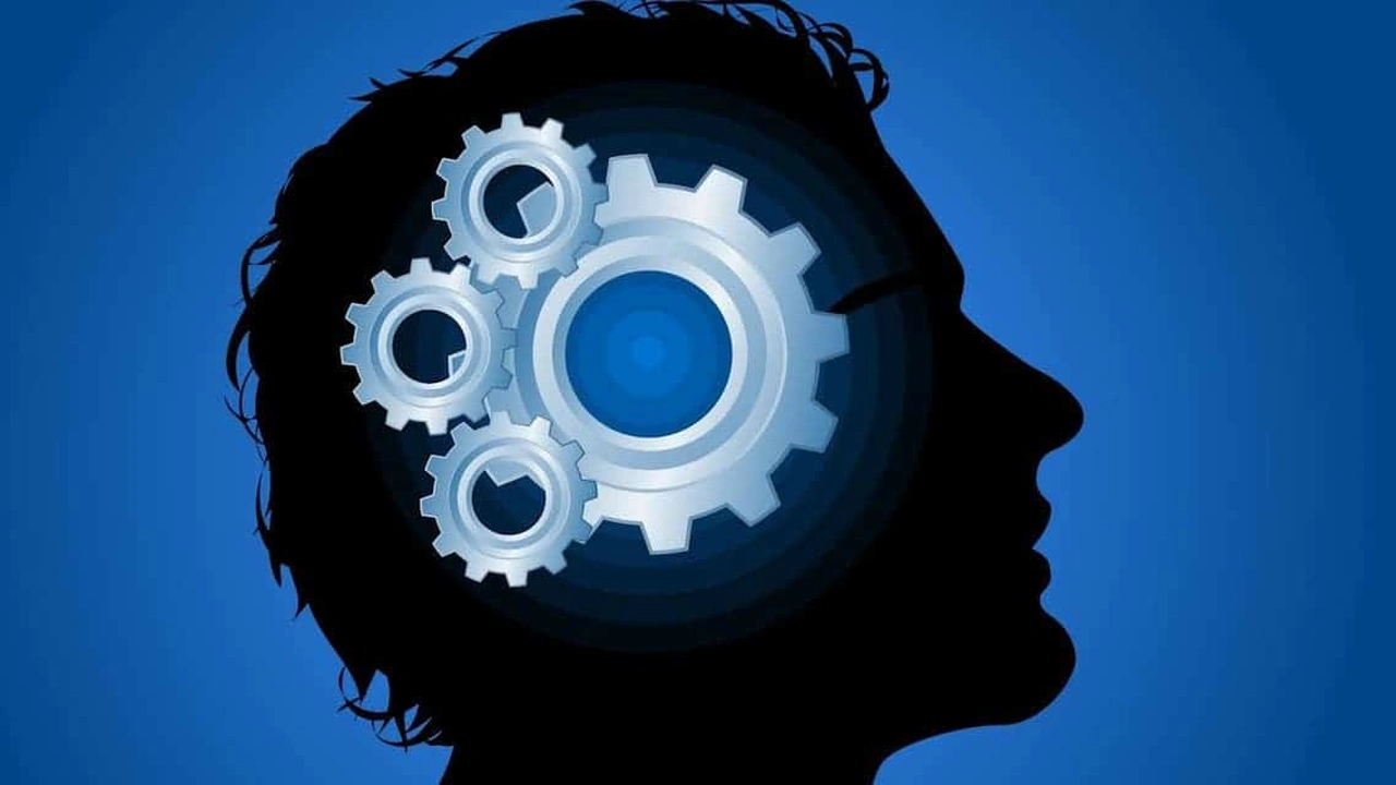 صورة امثلة عن الذكاء الاجتماعي