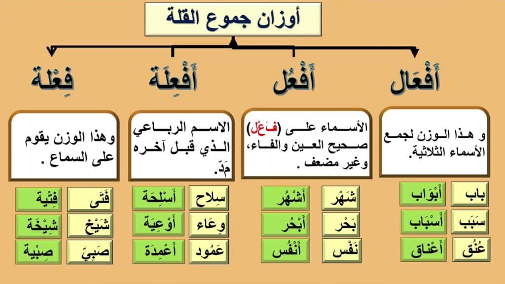 امثلة عن جمع القلة