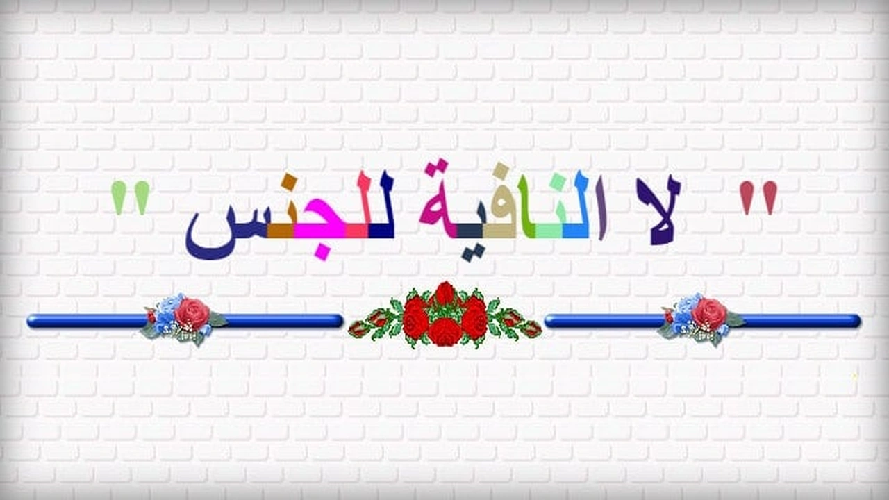صورة امثلة عن لا النافية للجنس