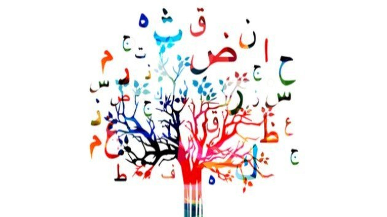 صورة امثلة عن مد التمكين