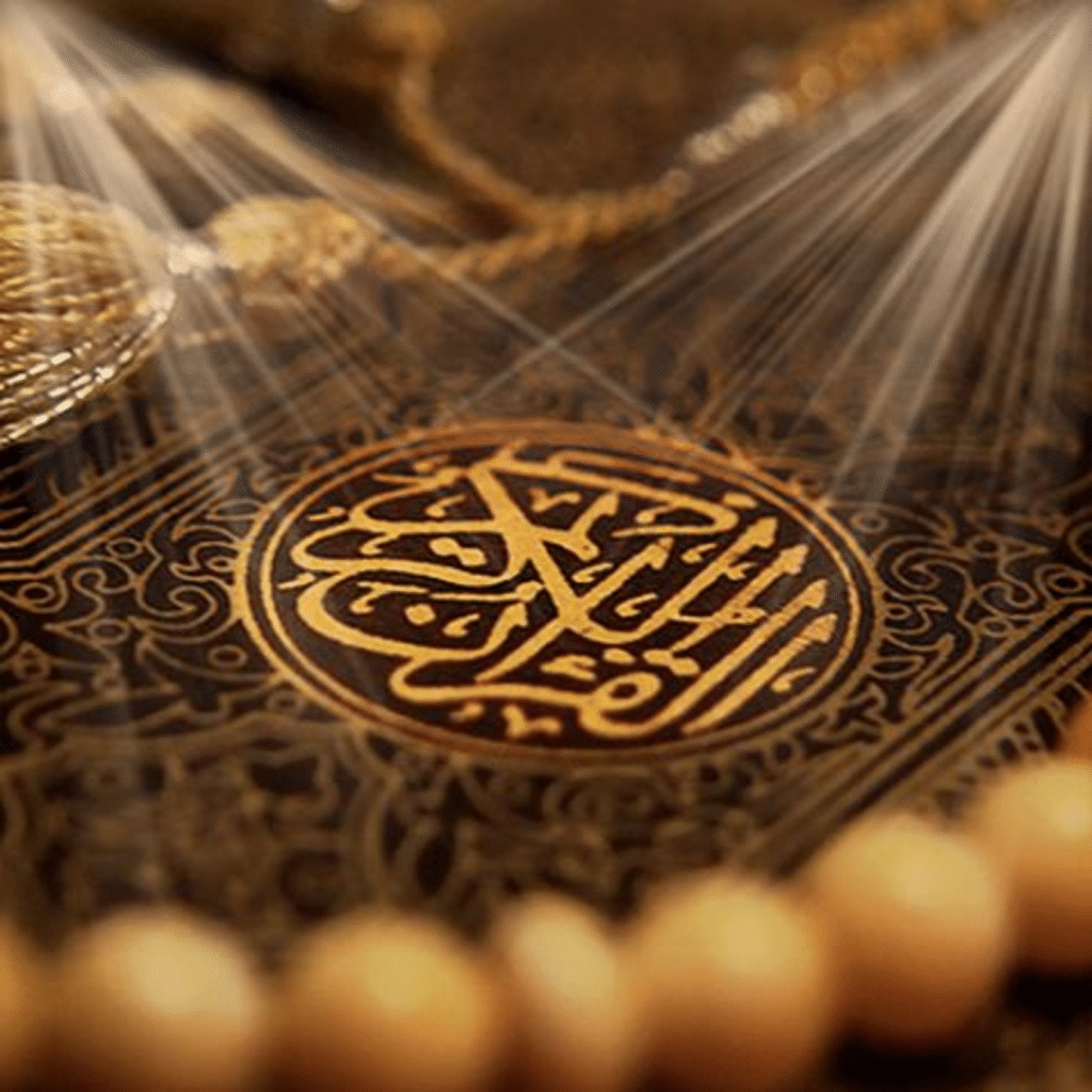 امثلة عن مد الصلة الصغرى