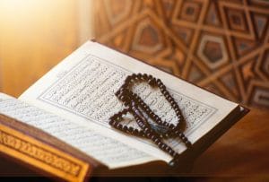 امثلة عن مد الصلة الصغرى