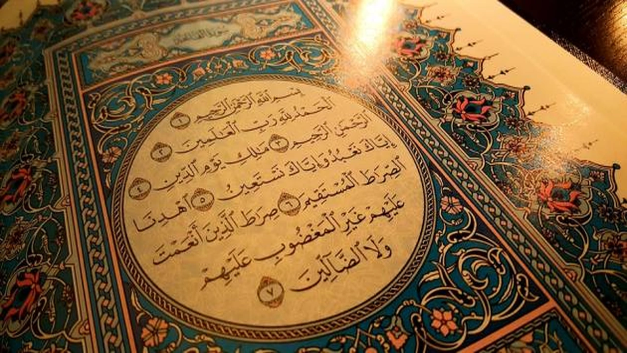 صورة امثلة عن مد اللين المهموز