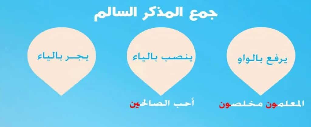 امثله على جمع المذكر السالم