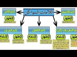 امثله عن لام الاسم