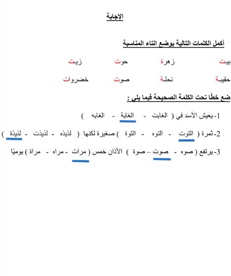 اوراق عمل التاء المفتوحة والمربوطة