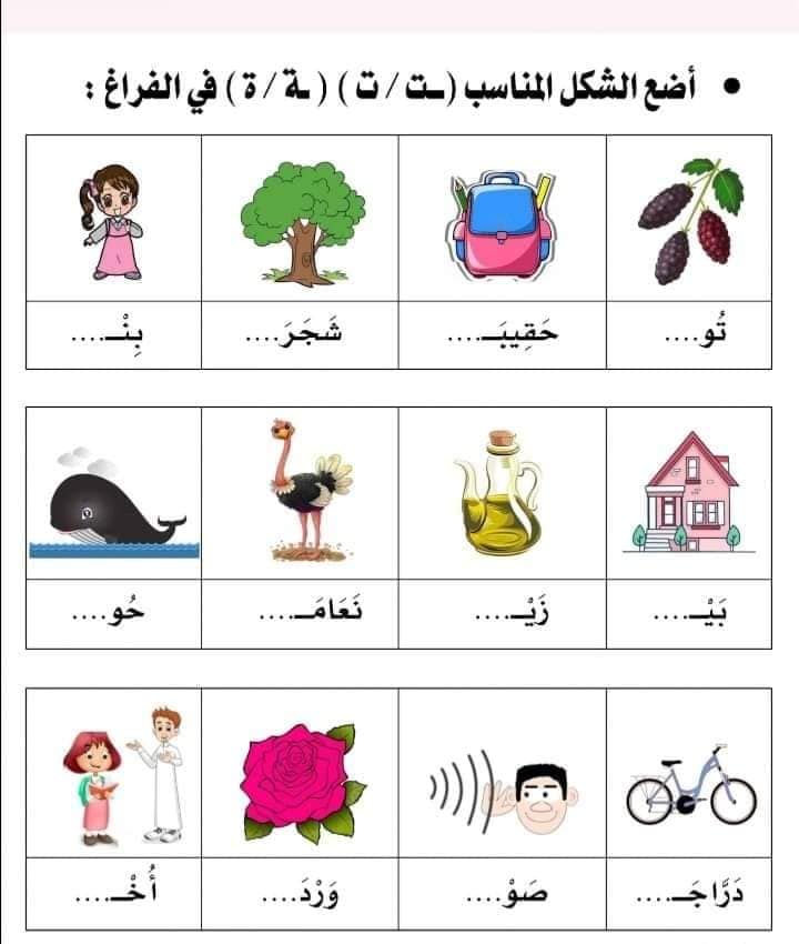 اوراق عمل التاء المفتوحة والمربوطة