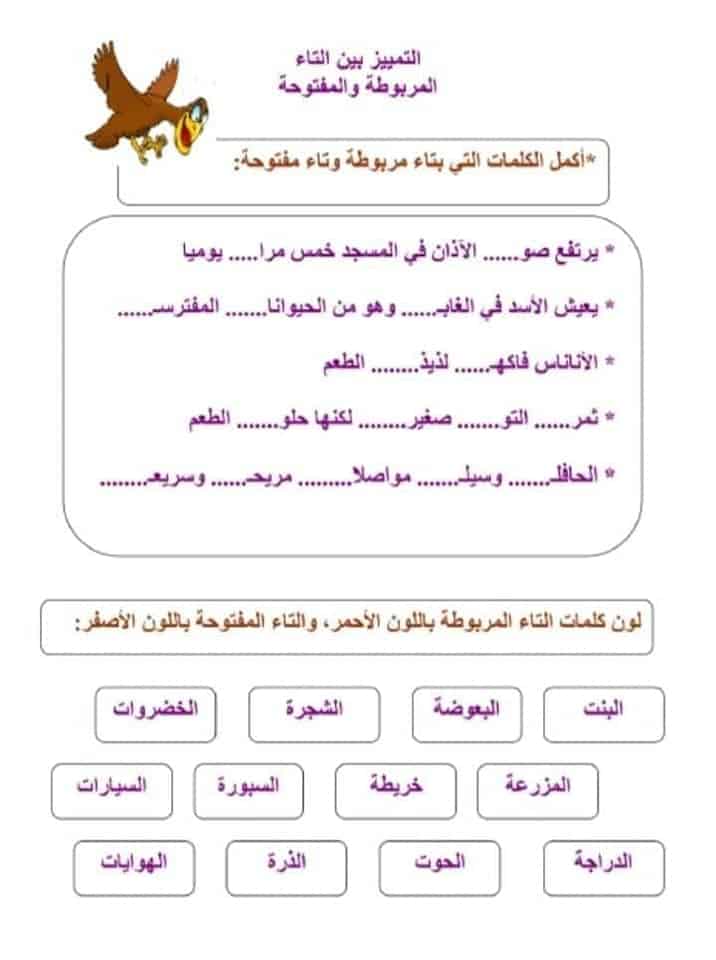 اوراق عمل التاء المفتوحة والمربوطة