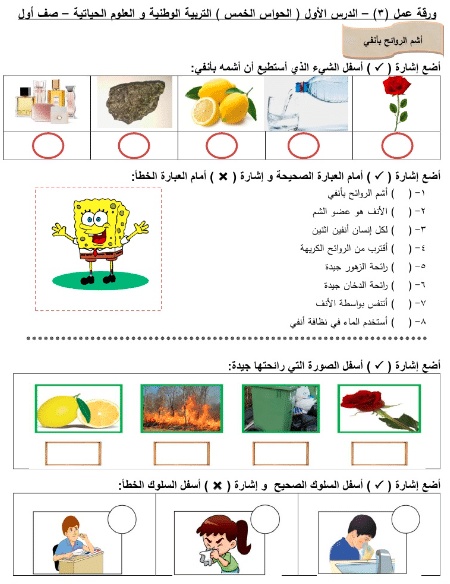 اوراق عمل التربية الوطنية للصف الاول الفصل الثاني