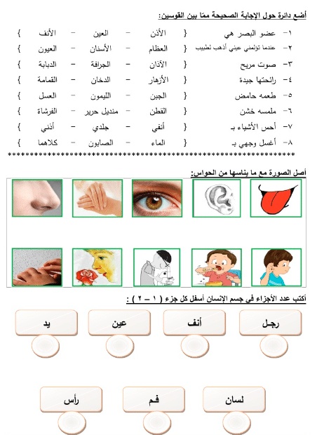 اوراق عمل التربية الوطنية للصف الاول الفصل الثاني