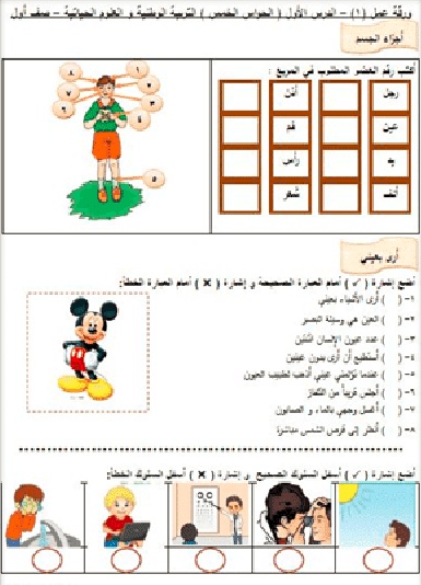 اوراق عمل التربية الوطنية للصف الاول الفصل الثاني
