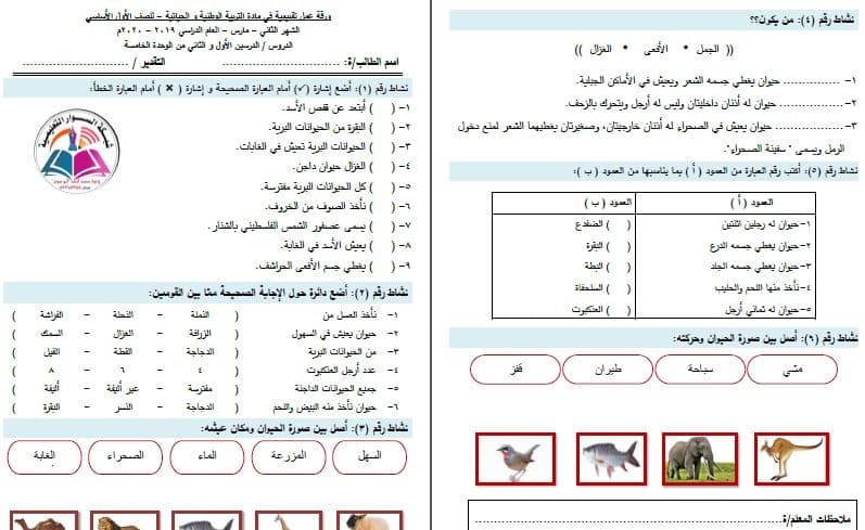 اوراق عمل التربية الوطنية للصف الاول الفصل الثاني