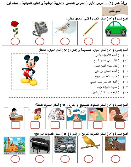 اوراق عمل التربية الوطنية للصف الاول الفصل الثاني