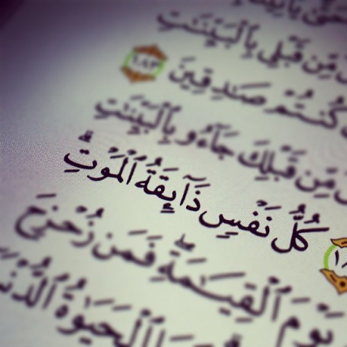 ايات قرانية عن الموت