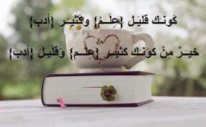 ايجابيات وسلبيات الذوق العام