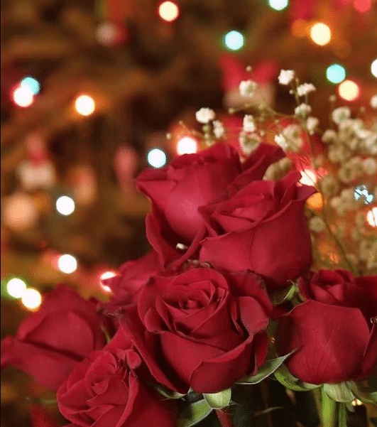 ايميل تهنئة بالانجليزي