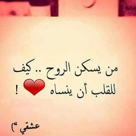 بالصور كلام في الحب