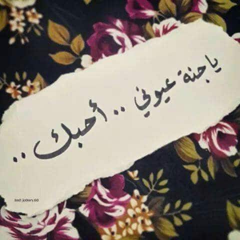 بالصور كلام في الحب