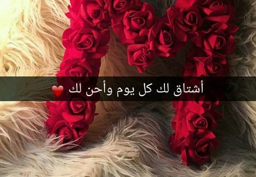 بالصور كلام في الحب