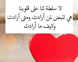 بالصور كلام في الحب