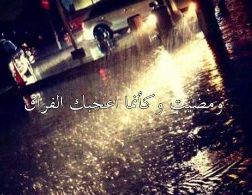 بايو انستا جاهز
