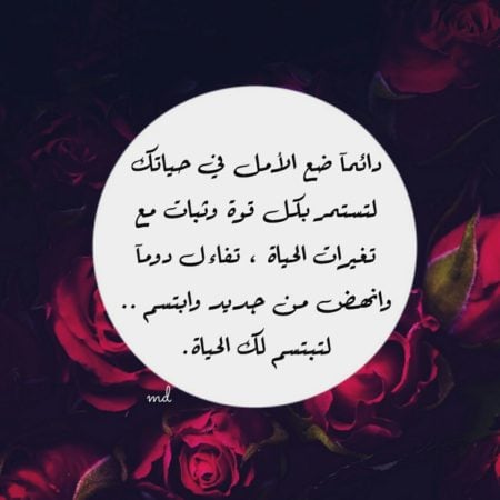 بايو انستا سوفت