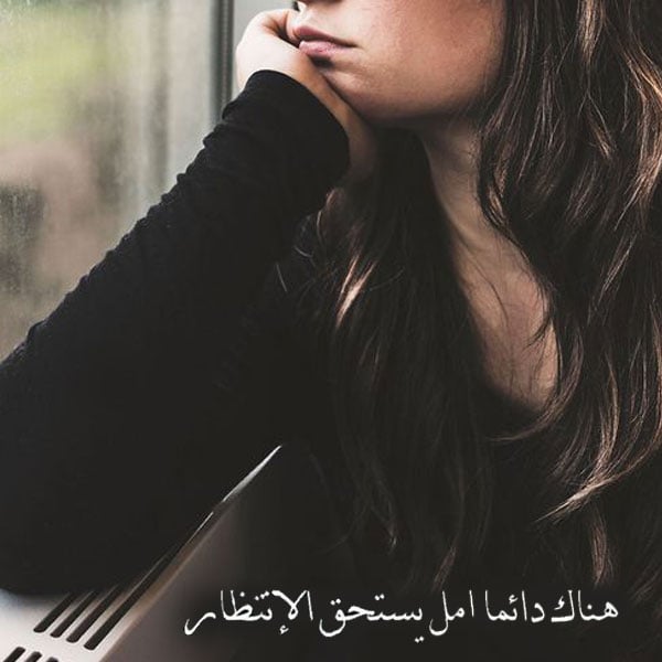 بايو انستا سوفت