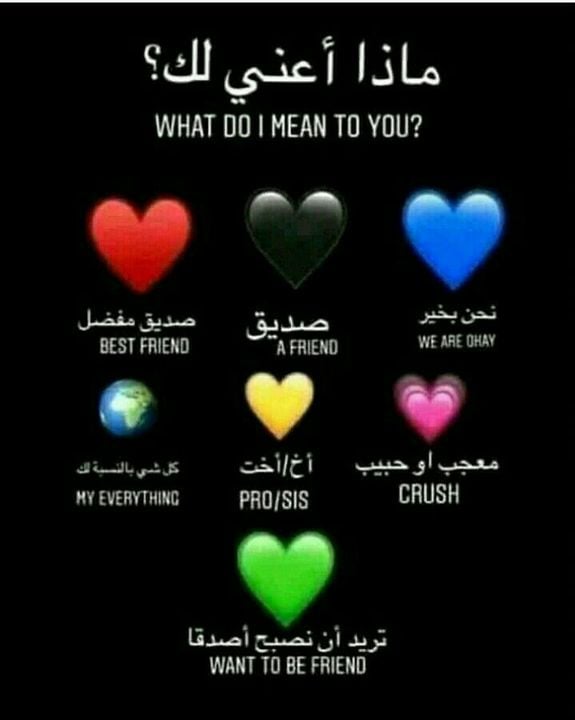 بايو انستا كوري