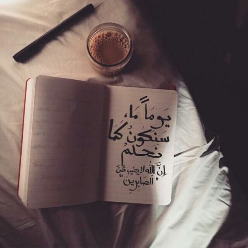 بايو انستا كيوت