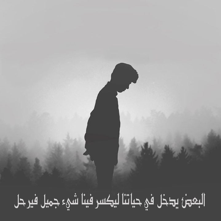 بايو انستا كيوت