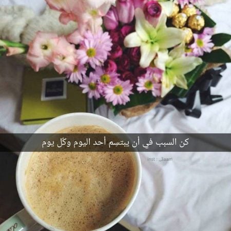 بايو انستا كيوت