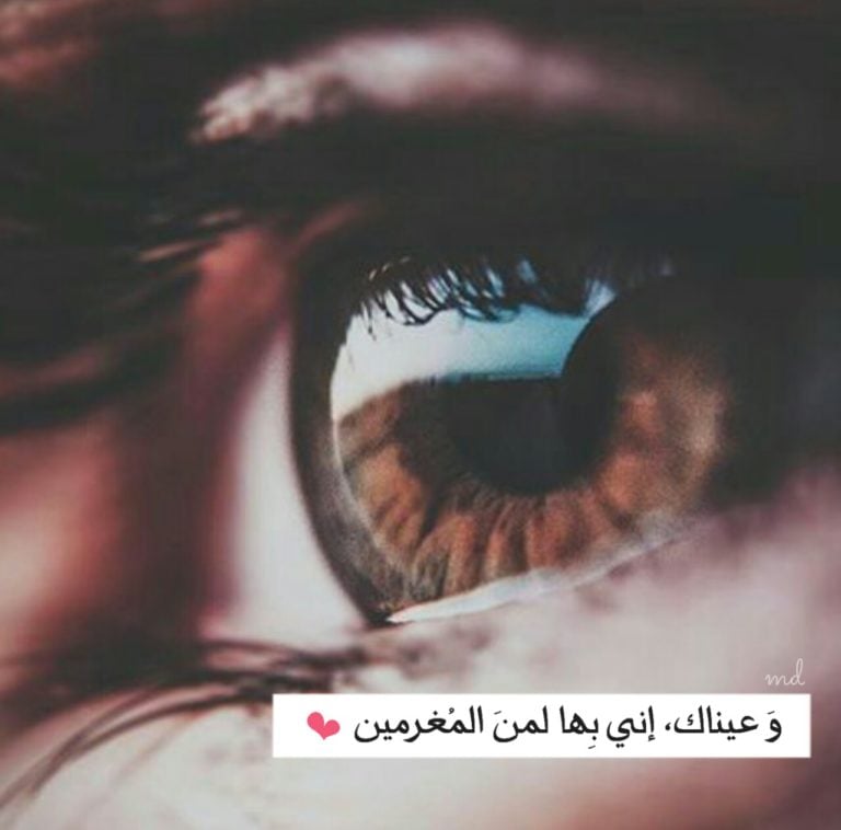 بايو انستقرام بنات مضحك