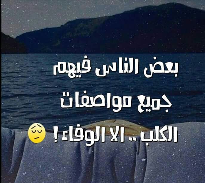 بايو انستقرام مزخرف