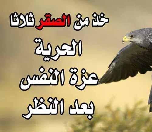 بايو انستقرام مزخرف