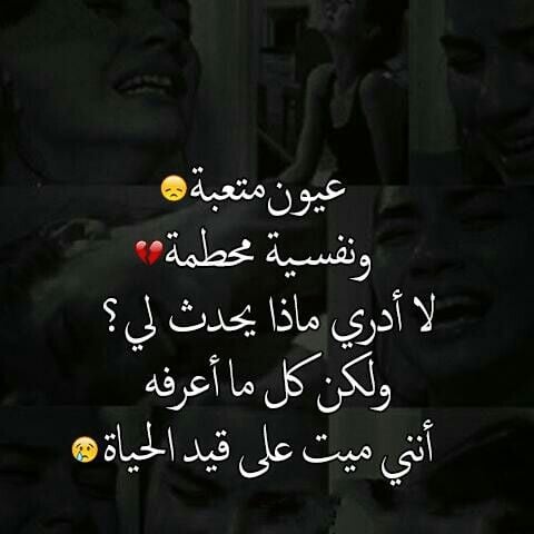 بايو تويتر