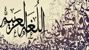 بحث عن الهمزة المتوسطة والمتطرفة