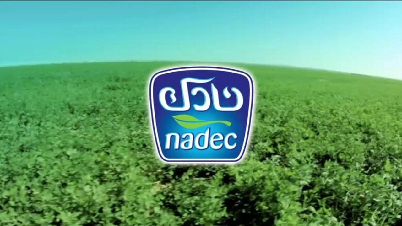 صورة بحث عن شركة نادك بالانجليزي