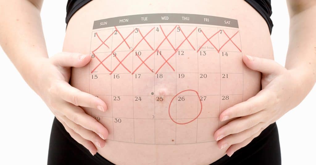 برنامج حساب الحمل بالاشهر