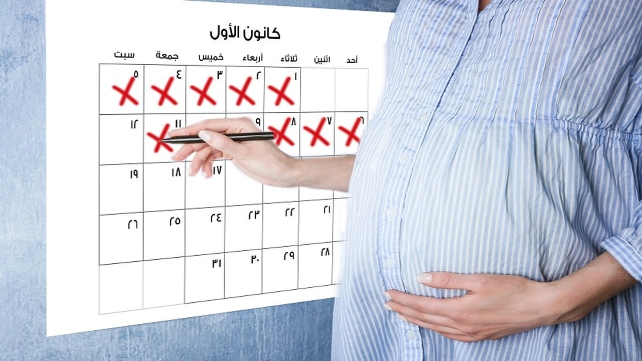 صورة برنامج حساب الحمل بالاشهر