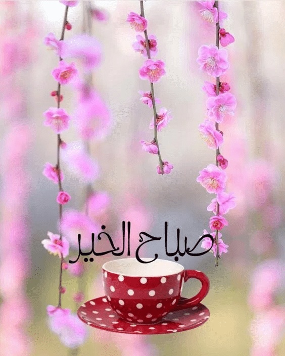 بطاقات صباح الخير