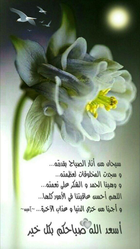 بوستات صباح الخير بالدعاء