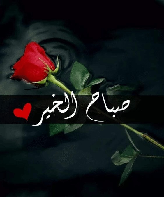 بوستات صباح الخير بالورد