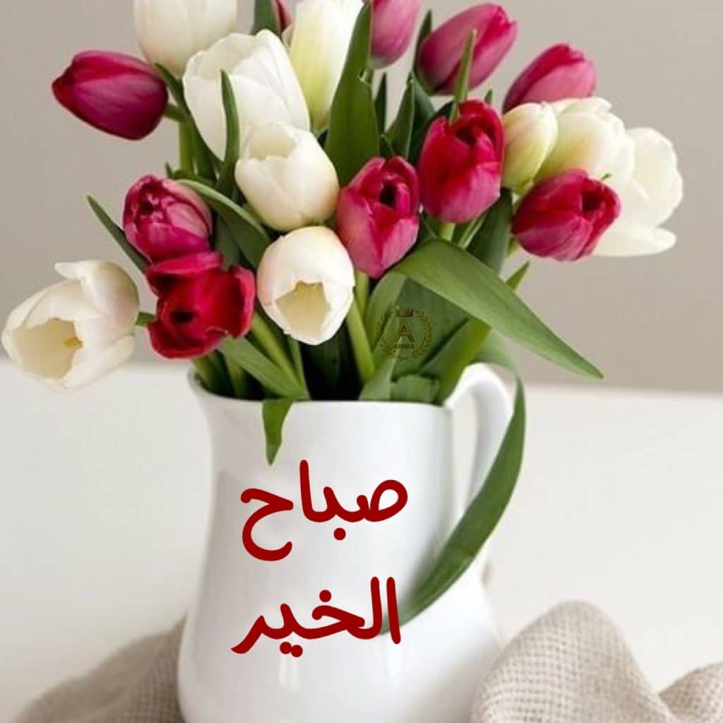 بوستات صباح الخير بالورد