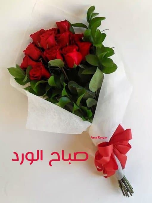 بوستات صباح الخير بالورد