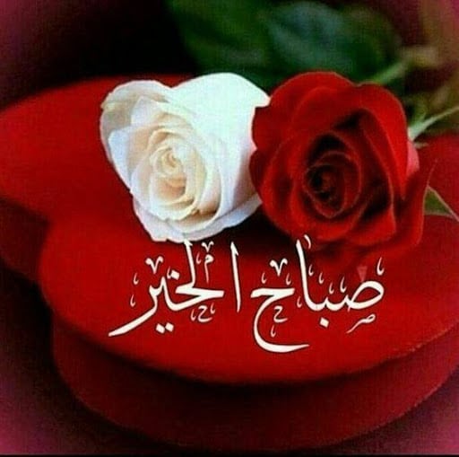 بوستات صباح الخير بالورد