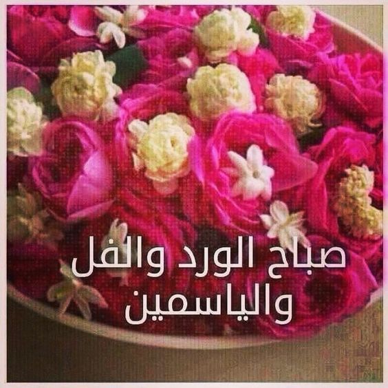 بوستات صباح الخير بالورد