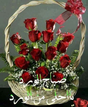 بوستات صباح الخير بالورد