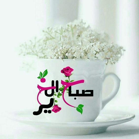 بوستات صباح الخير بالورد