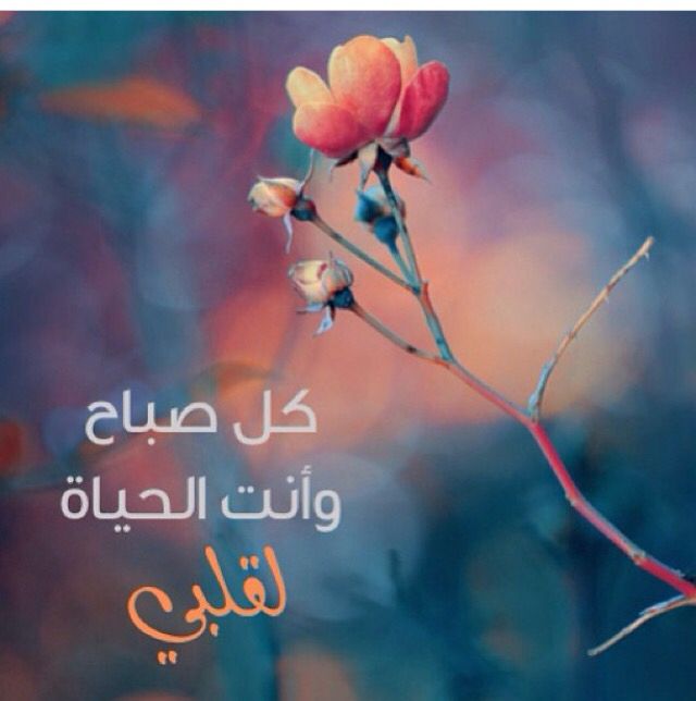 بوستات صباح الخير رومانسية